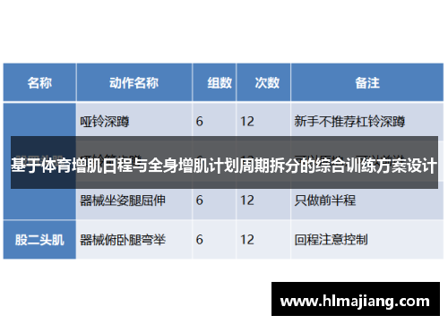 基于体育增肌日程与全身增肌计划周期拆分的综合训练方案设计